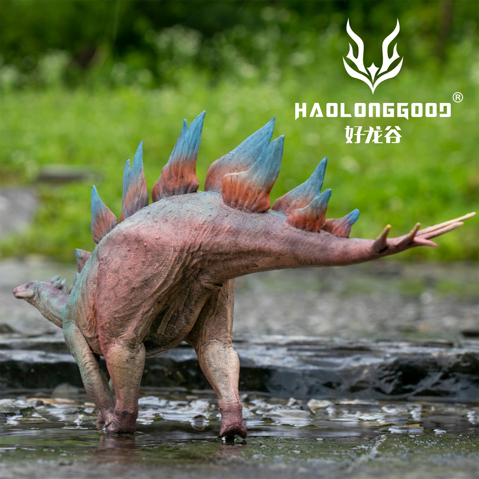 HAOLONGGOOD 1:35 Scale Stegosaurus Model
