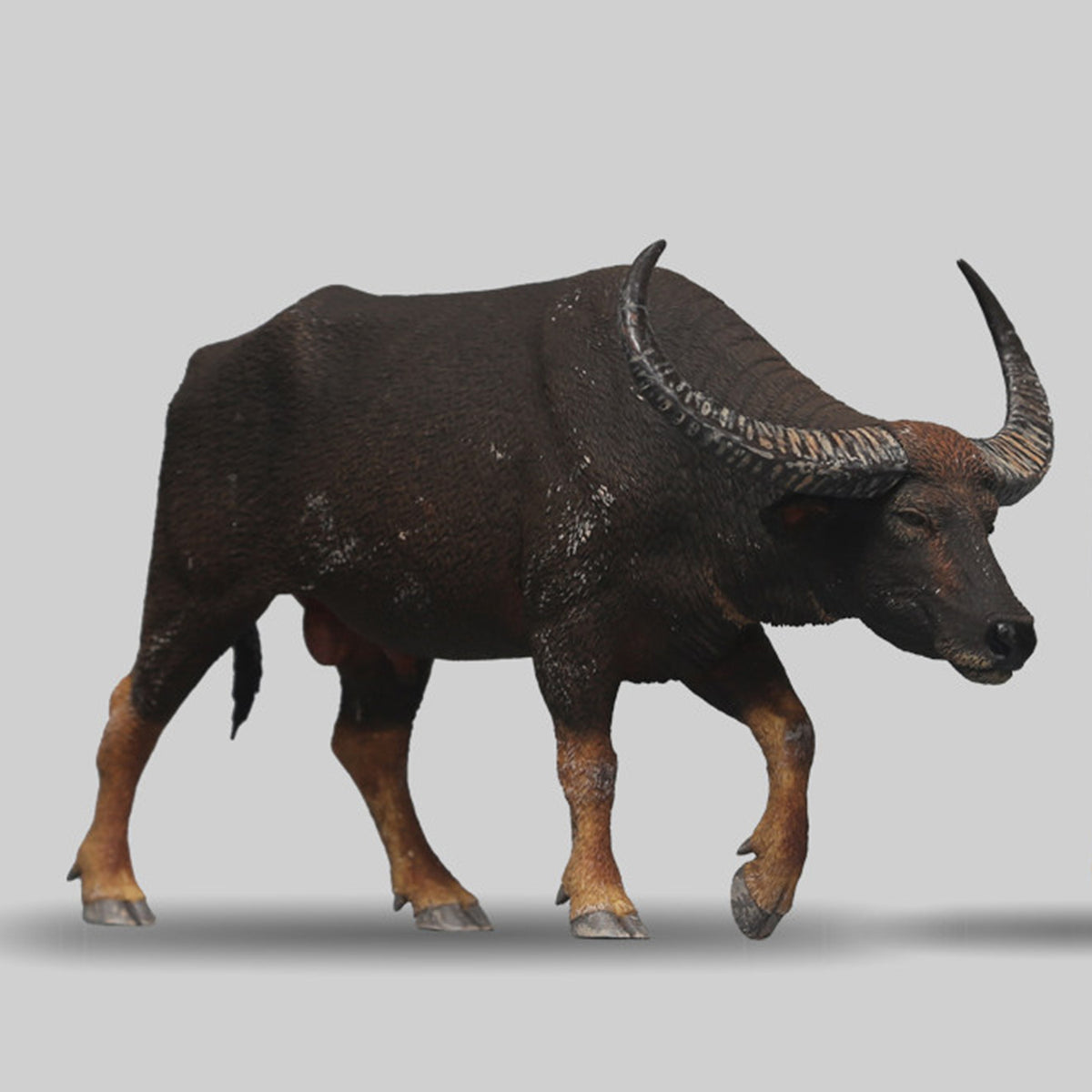 DAFEI Hippopotamus amphibius Modell