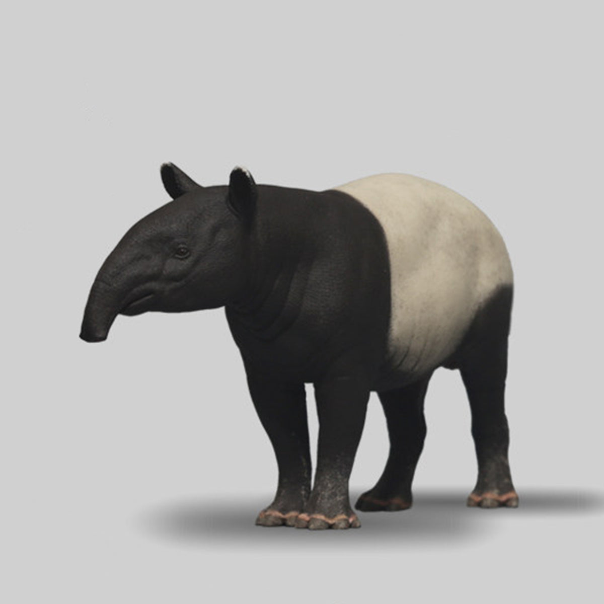 DAFEI Hippopotamus amphibius Modell