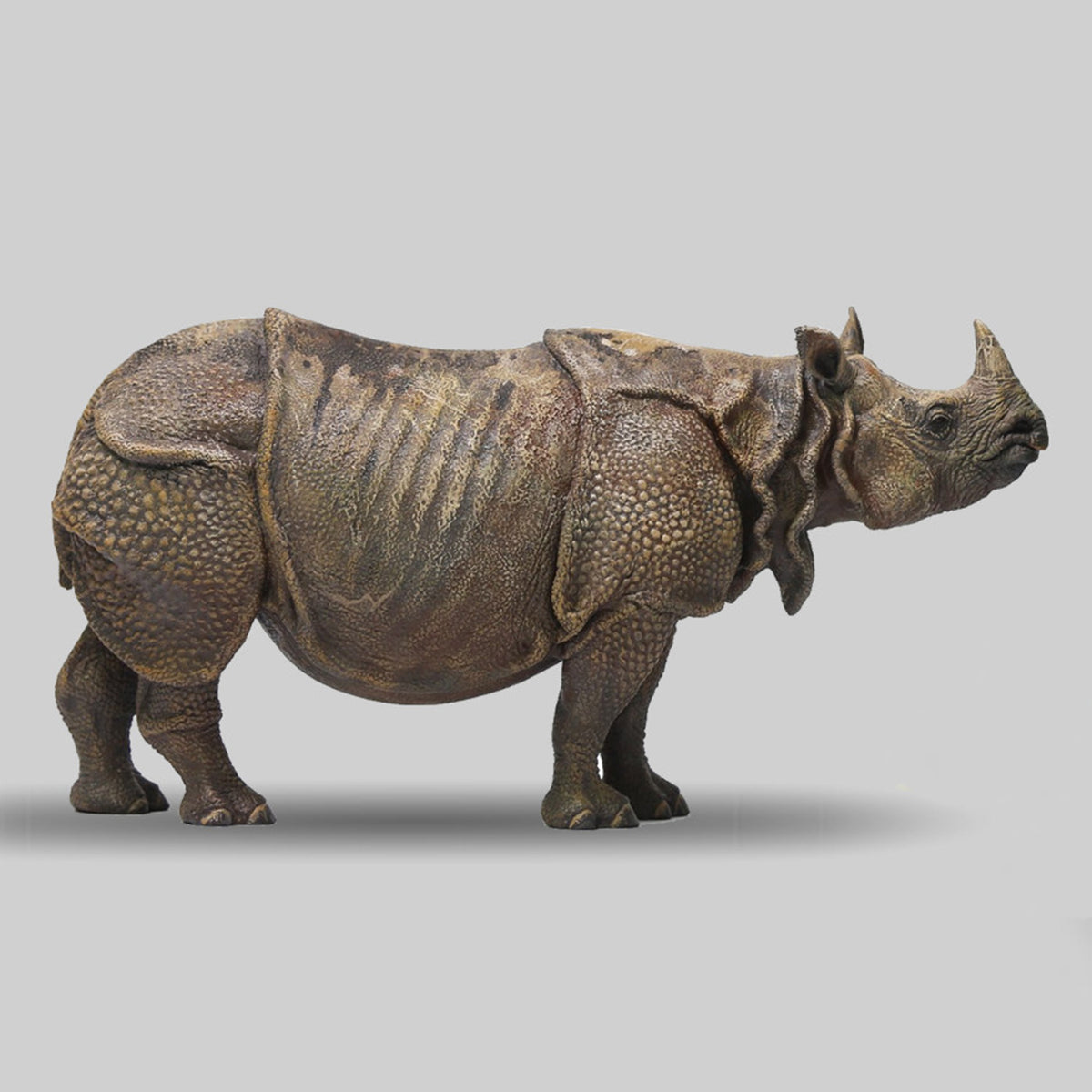 DAFEI Hippopotamus amphibius Modell