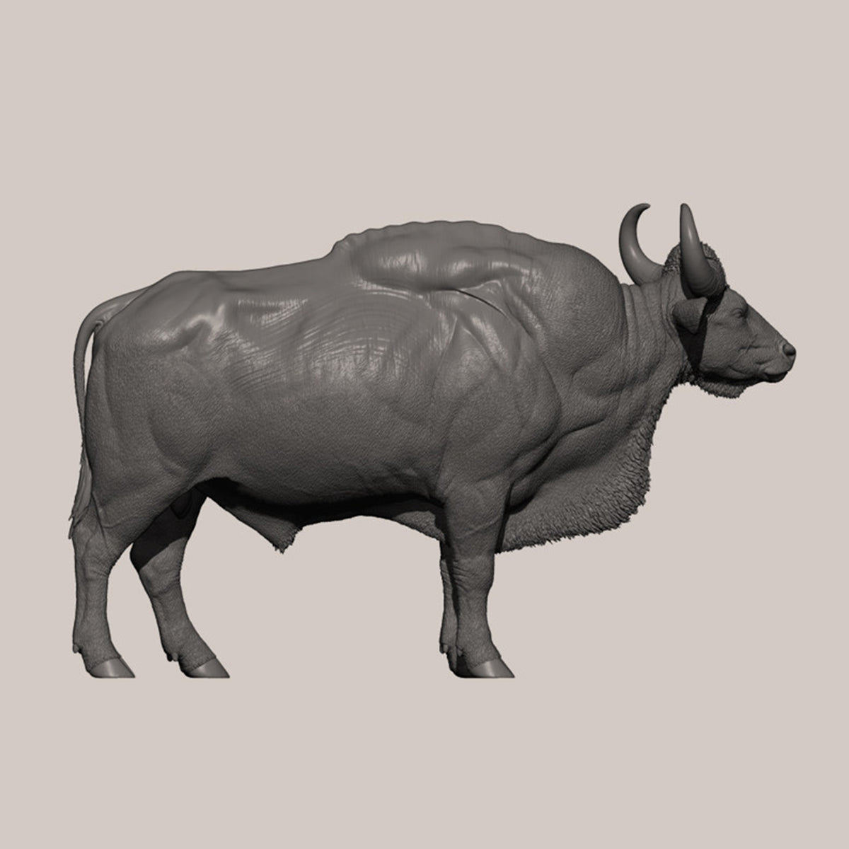 DAFEI Hippopotamus amphibius Modell