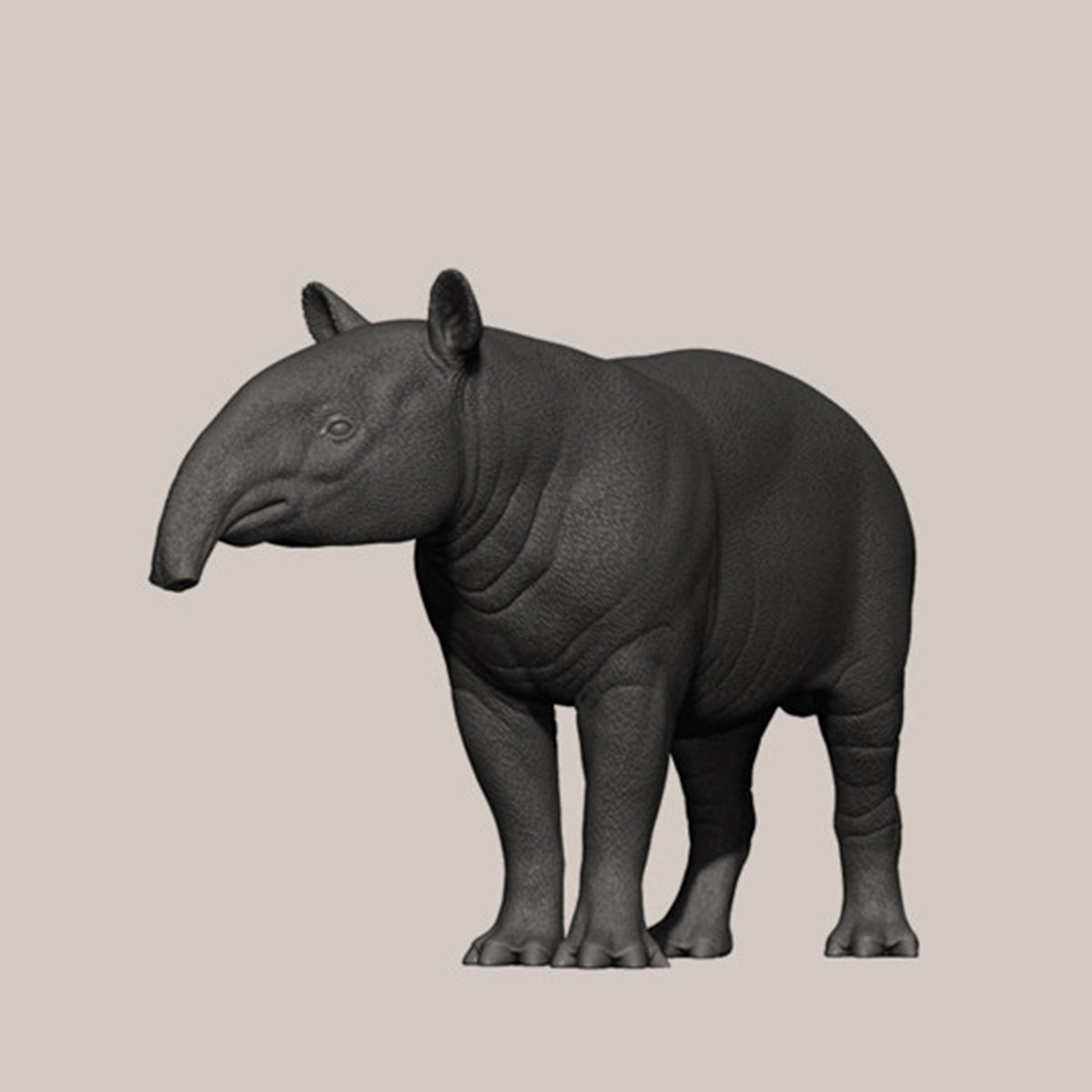 DAFEI Hippopotamus amphibius Modell