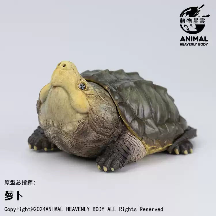 Animal Heavenly Body 22 Turtle Blind Box Model