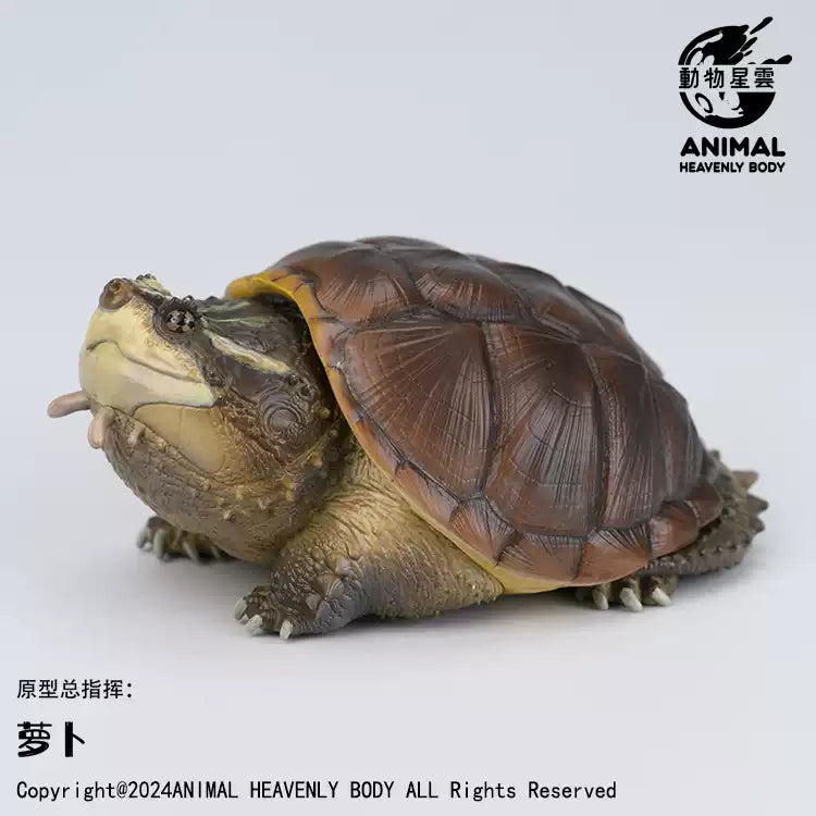 Animal Heavenly Body 22 Turtle Blind Box Model