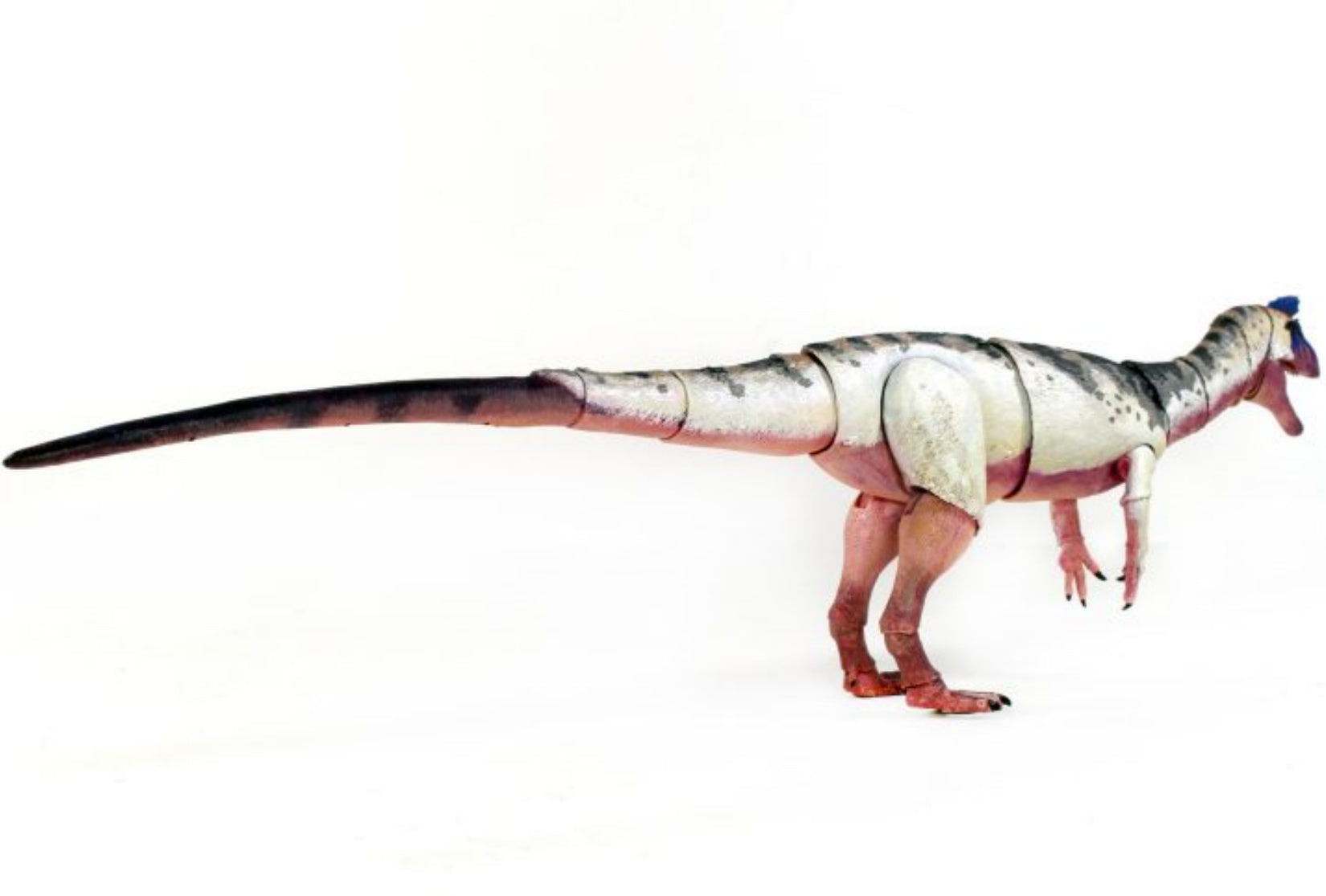 Beasts of the Mesozoic Cryolophosaurus ellioti – 1/18th scale action figure
