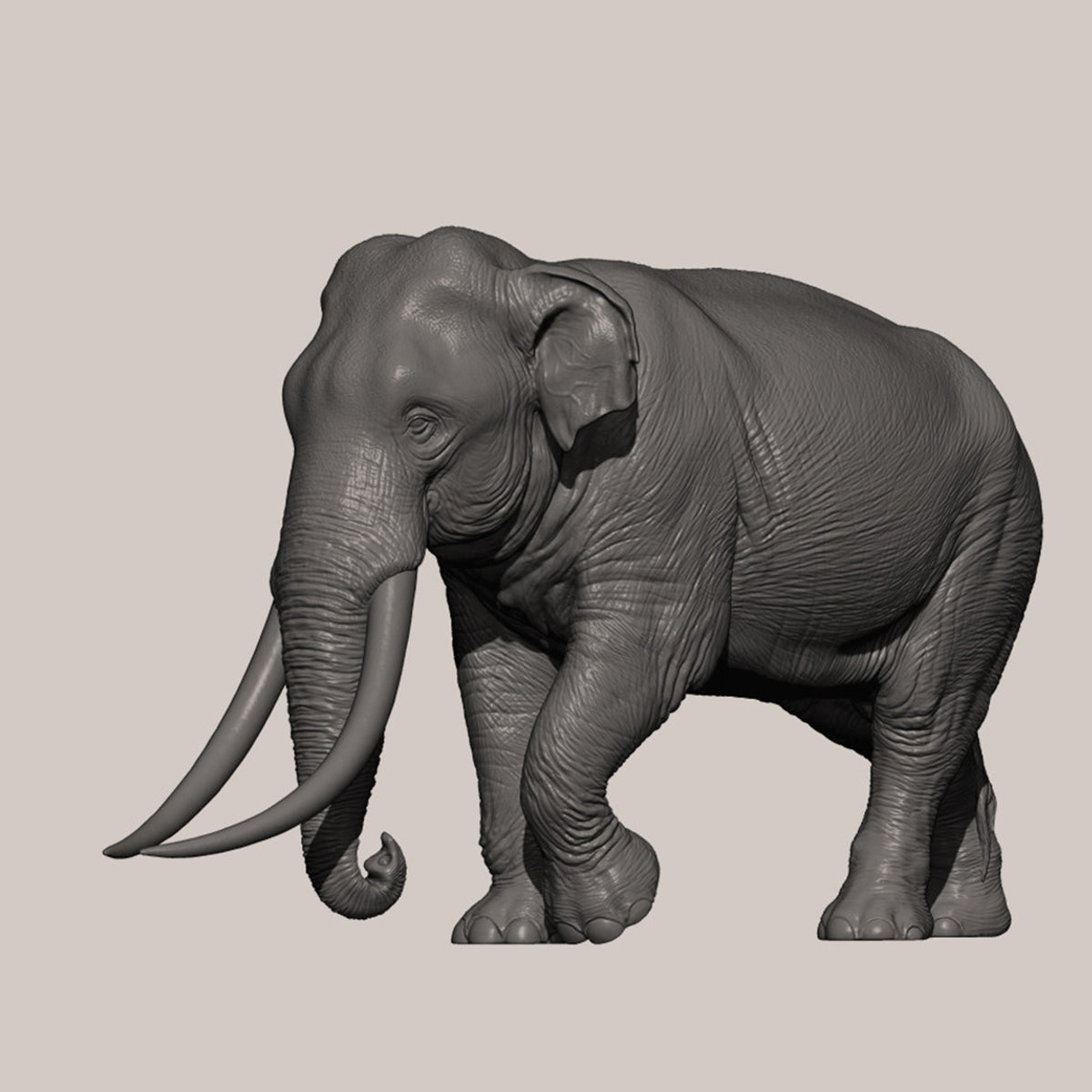 DAFEI Hippopotamus amphibius Modell