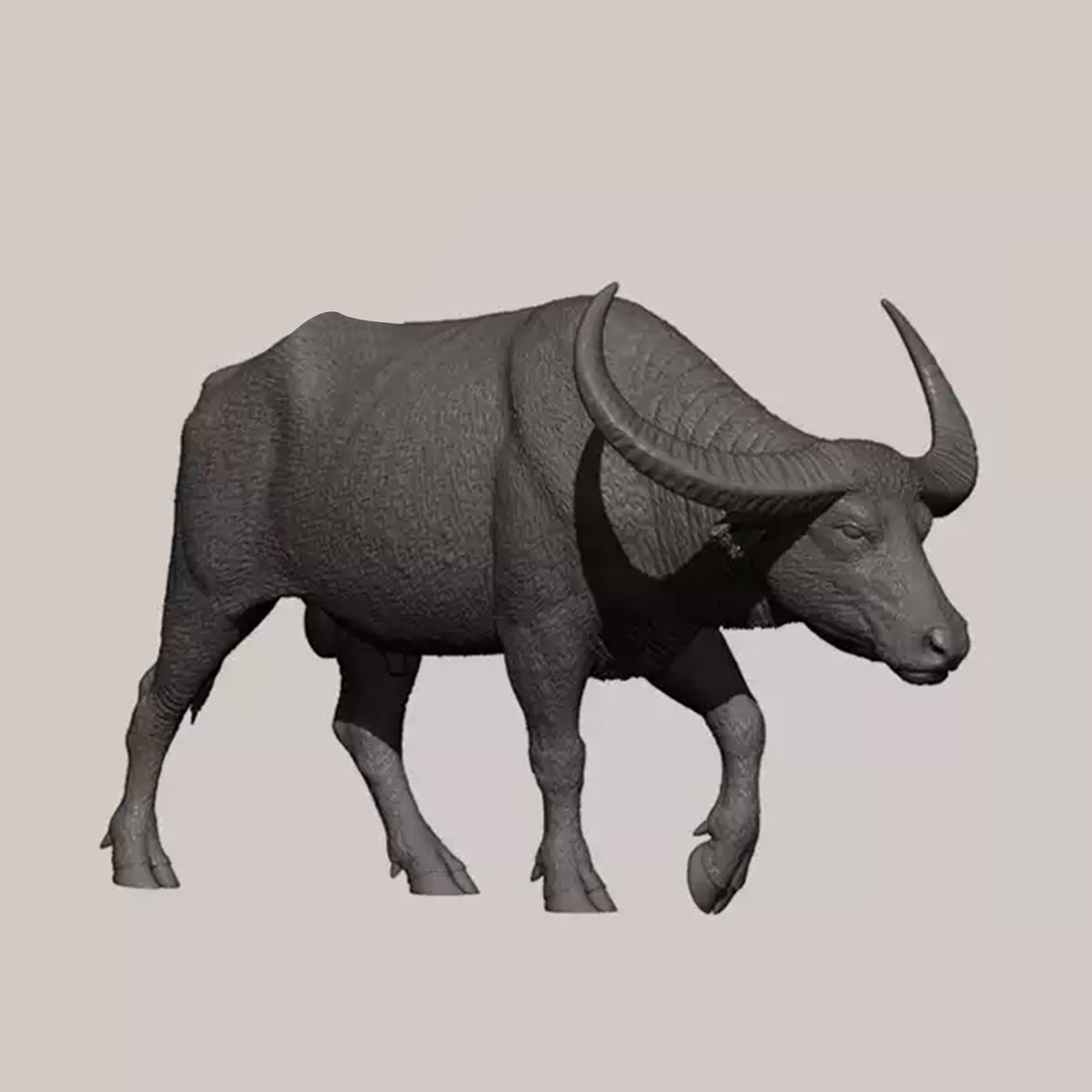 DAFEI Hippopotamus amphibius Modell