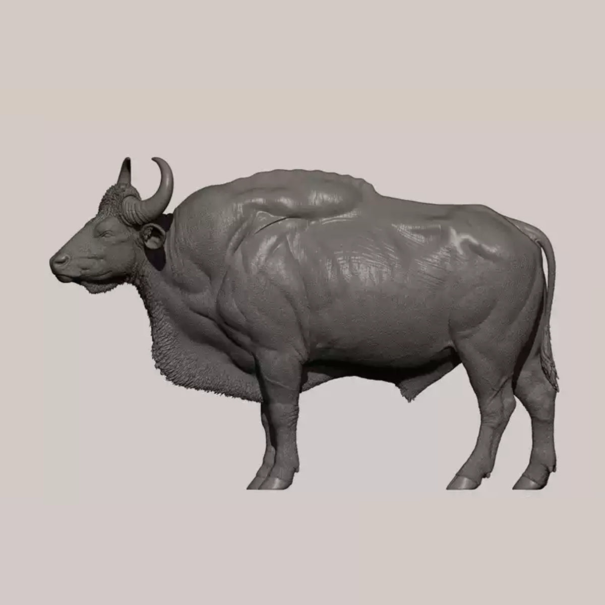 DAFEI Hippopotamus amphibius Modell