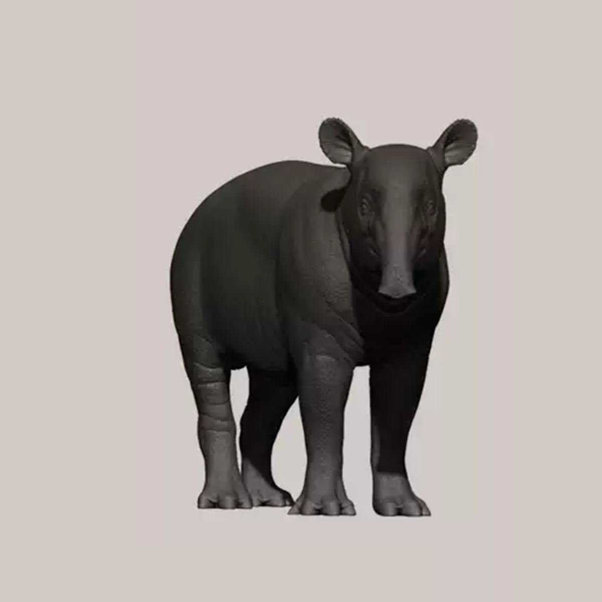 DAFEI Hippopotamus amphibius Modell