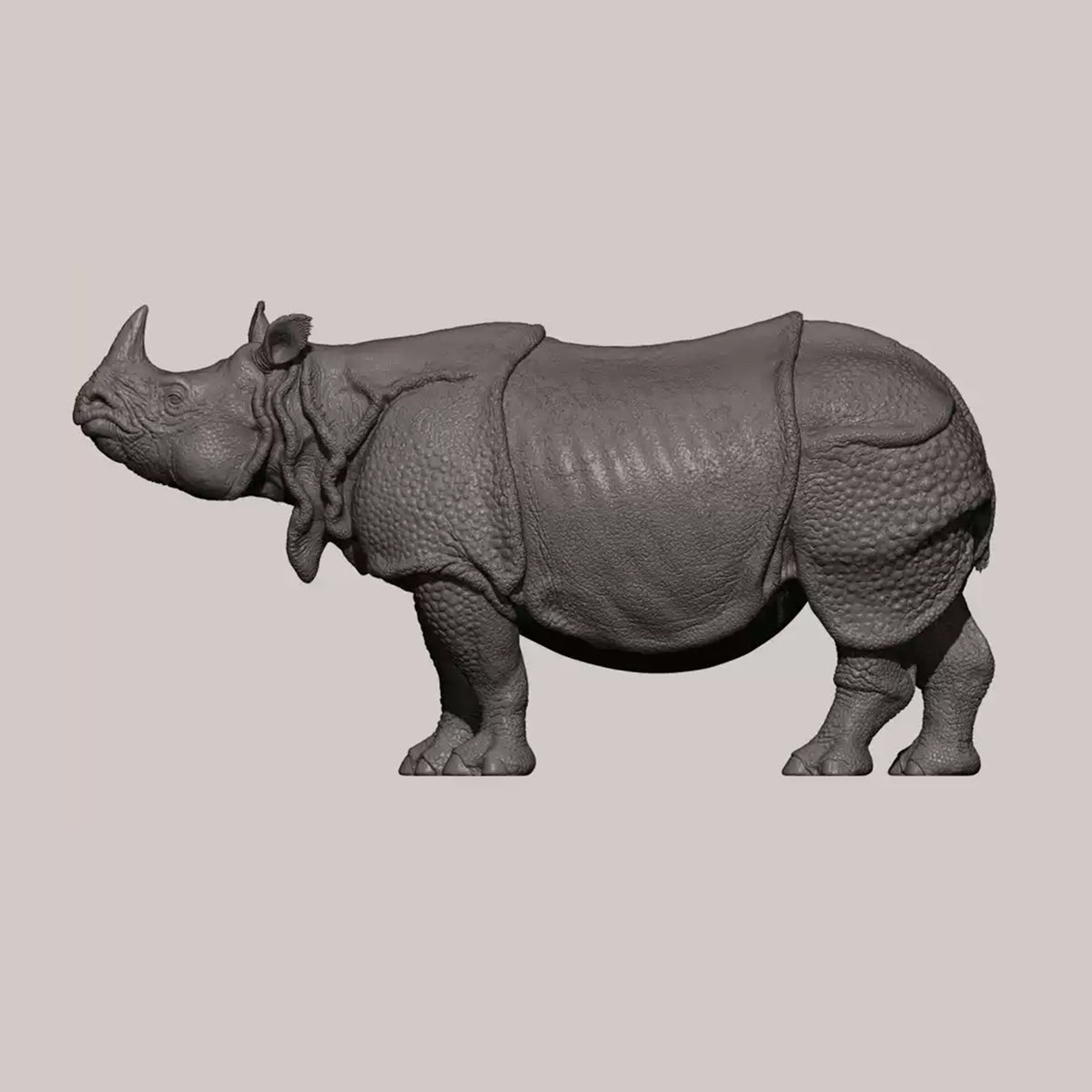 DAFEI Hippopotamus amphibius Modell