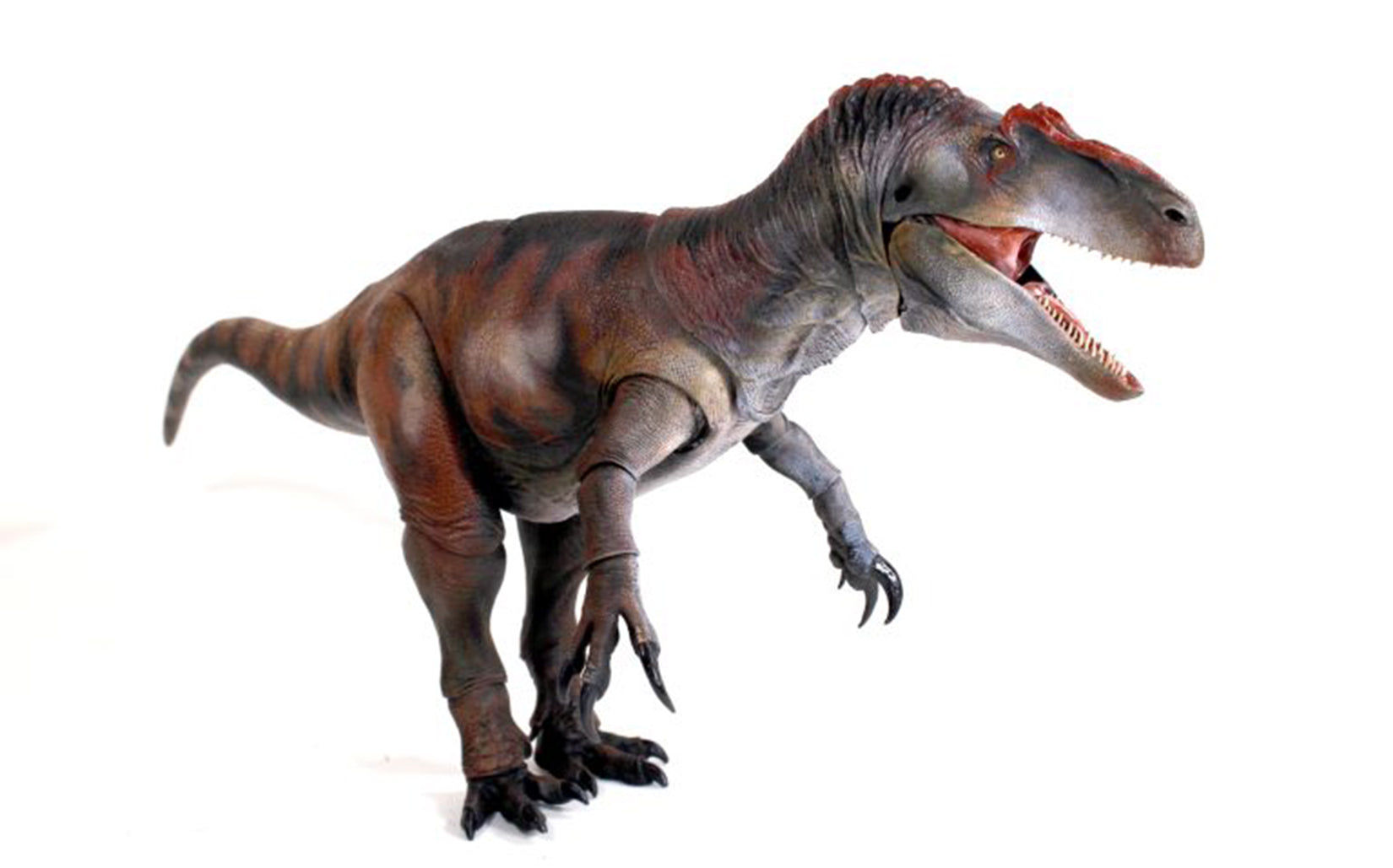 Beasts of the Mesozoic Allosaurus jimmadseni- Cyberzoic- 1/18th scale action figure