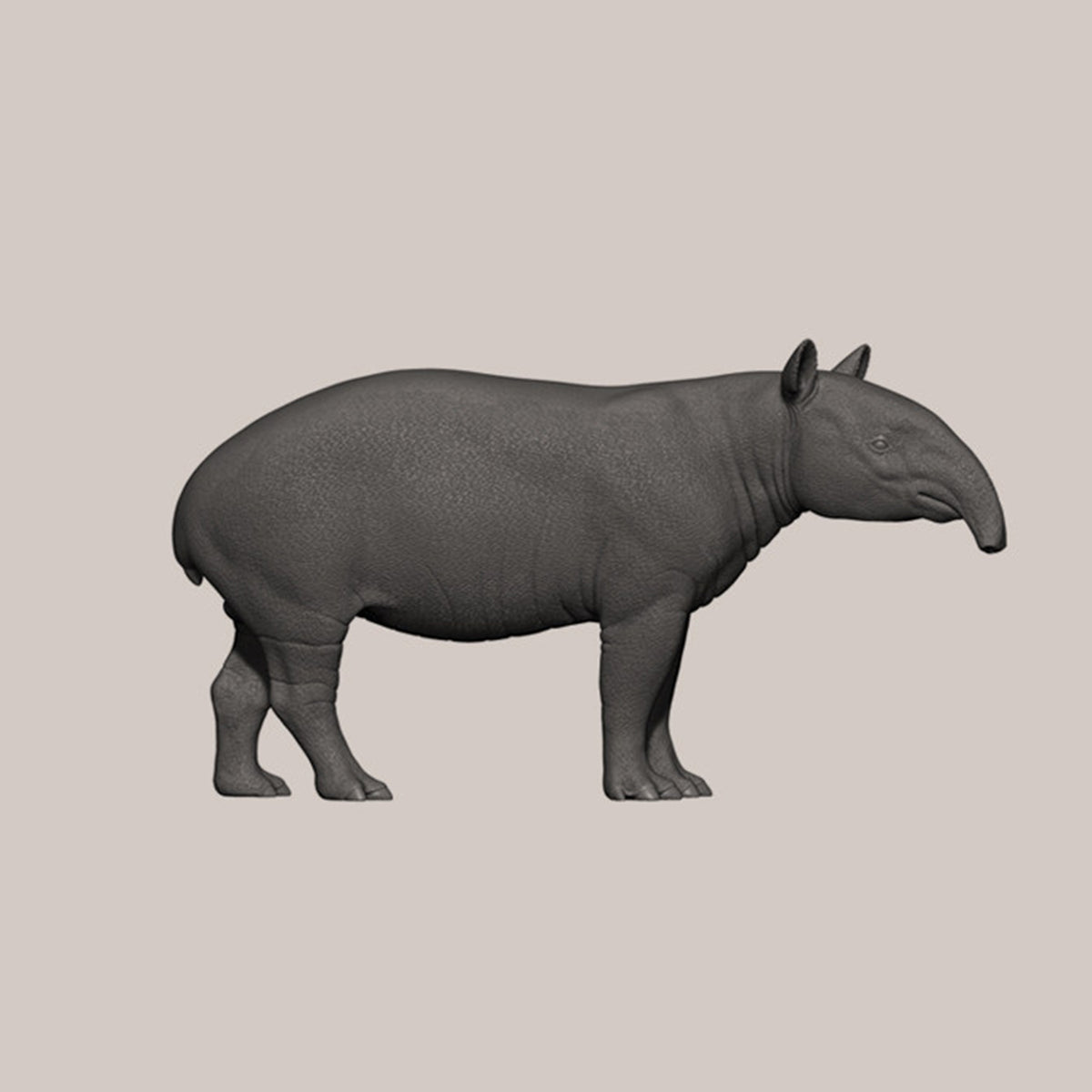 DAFEI Hippopotamus amphibius Modell