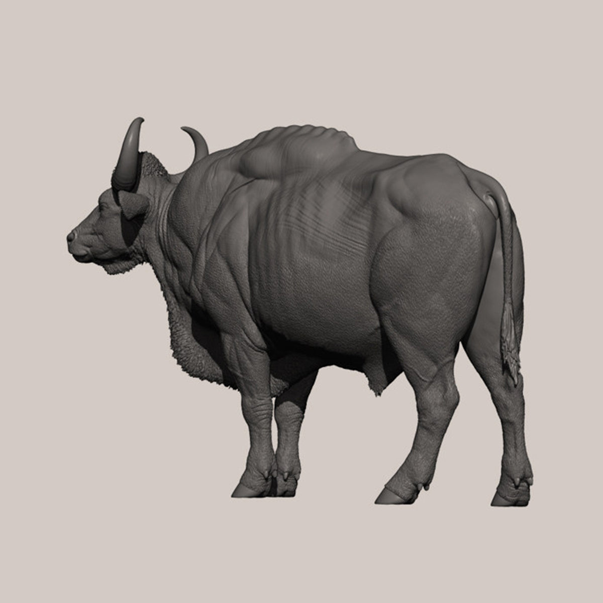 DAFEI Hippopotamus amphibius Modell