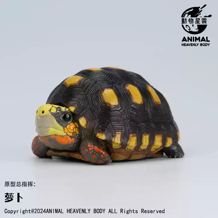 Animal Heavenly Body 22 Turtle Blind Box Model