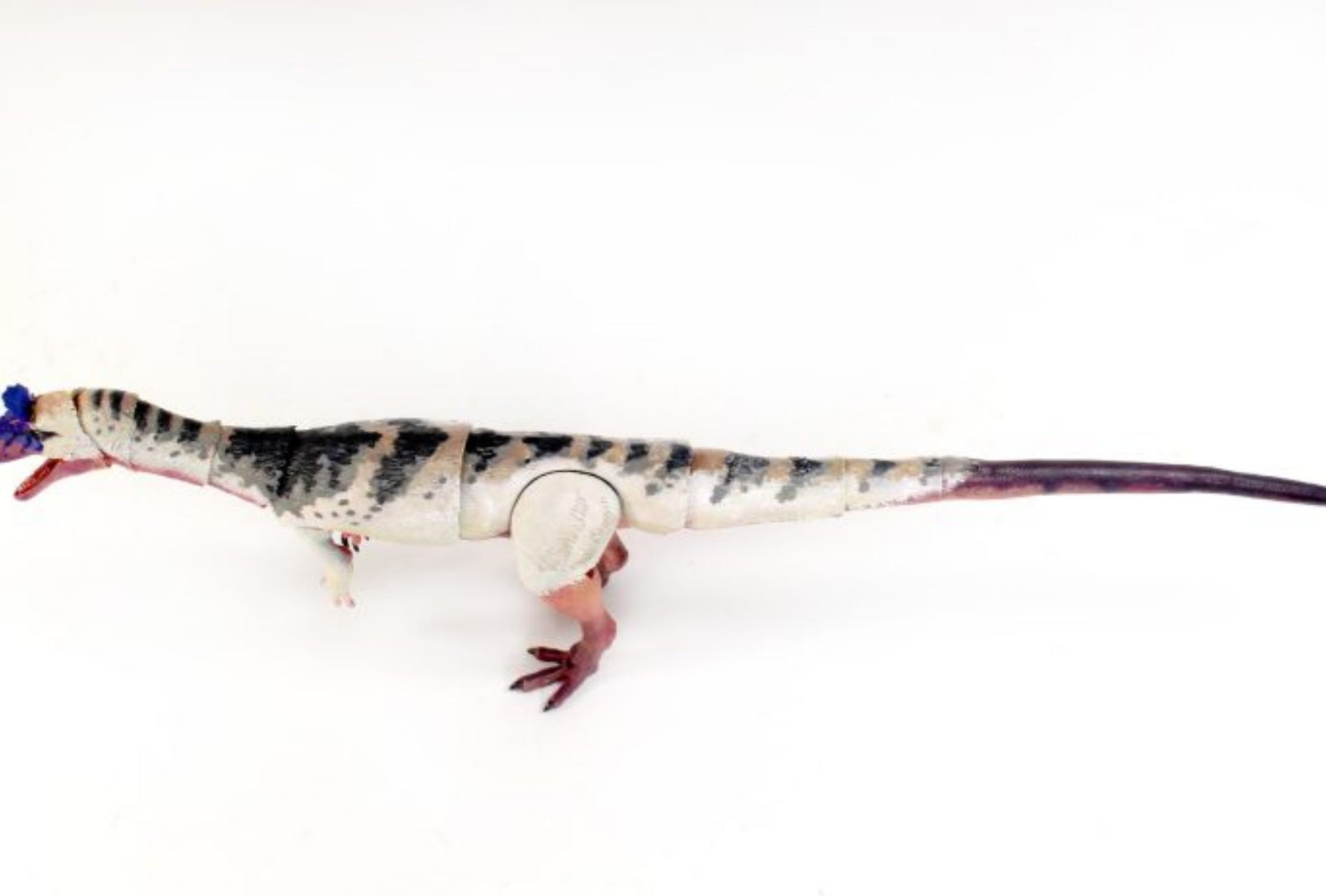 Beasts of the Mesozoic Cryolophosaurus ellioti – 1/18th scale action figure