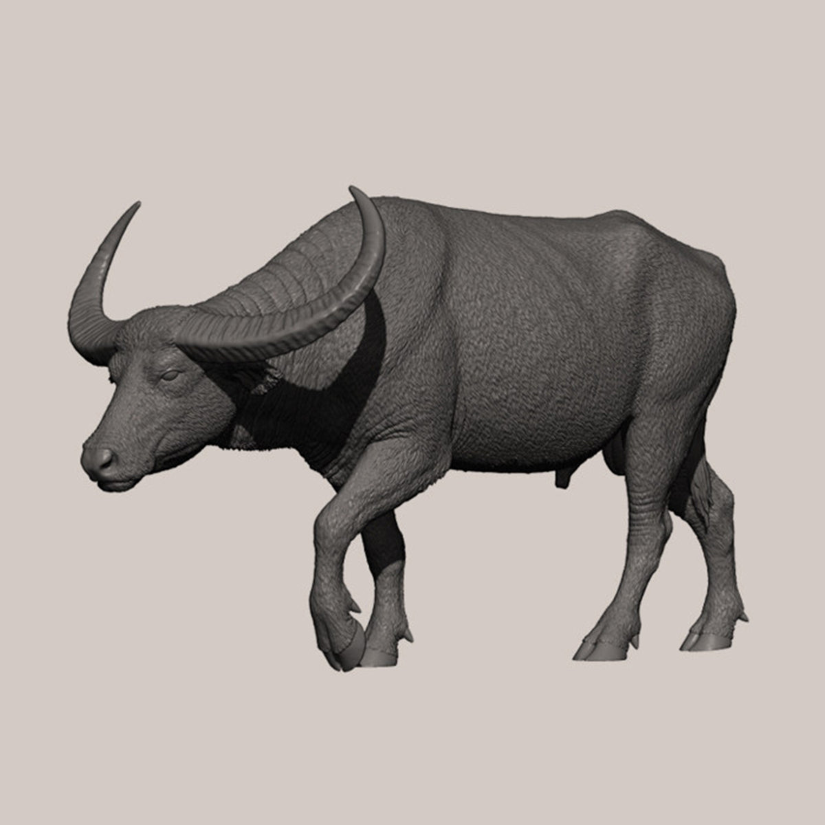 DAFEI Hippopotamus amphibius Modell