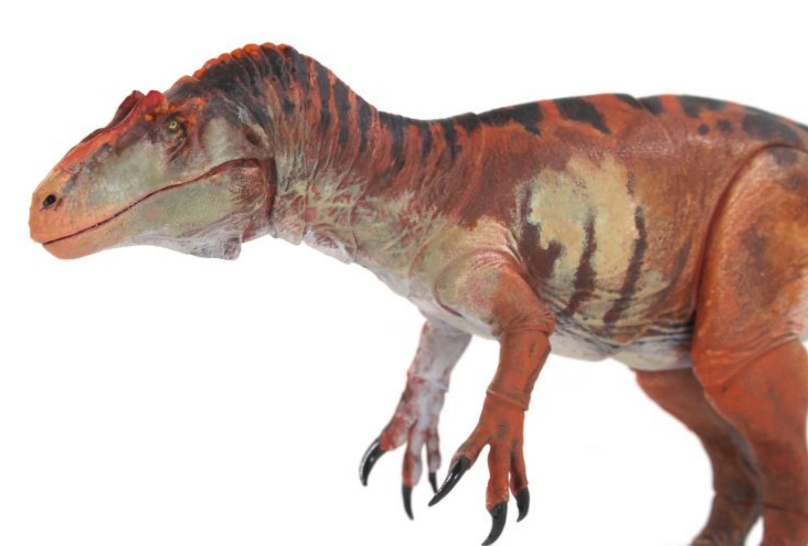 Beasts of the Mesozoic Allosaurus jimmadseni – 1/35th scale action figure