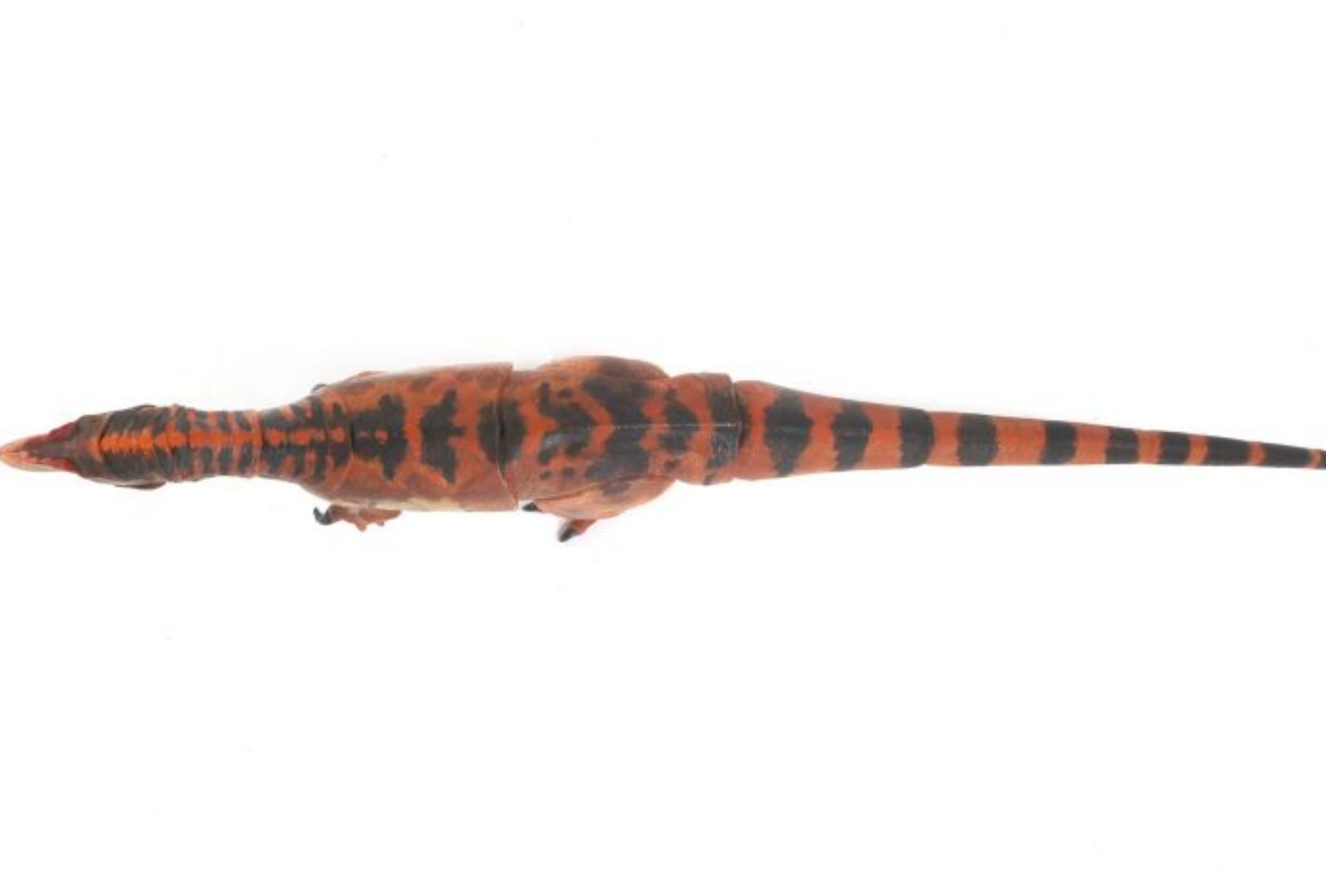 Beasts of the Mesozoic Allosaurus jimmadseni – 1/35th scale action figure