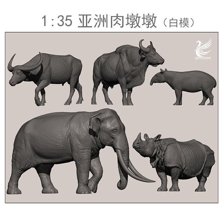 DAFEI Hippopotamus amphibius Modell