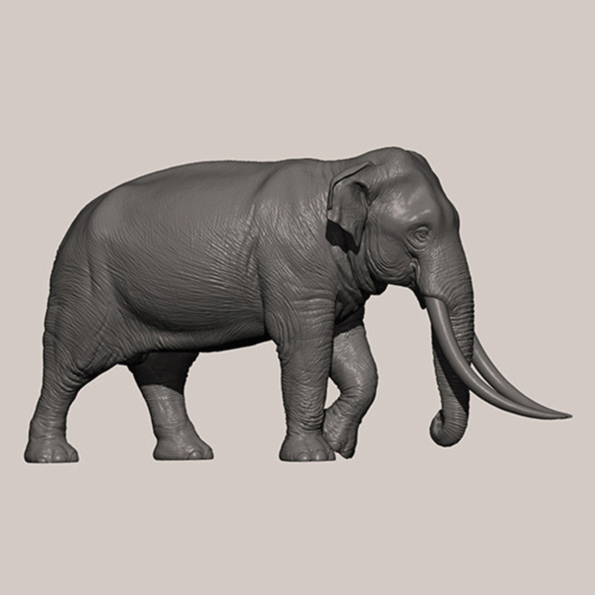 DAFEI Hippopotamus amphibius Modell