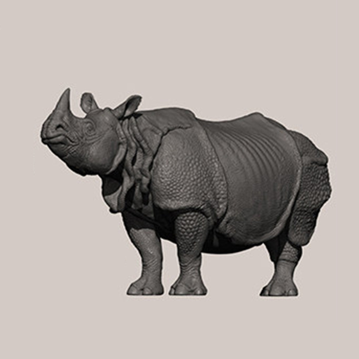DAFEI Hippopotamus amphibius Modell