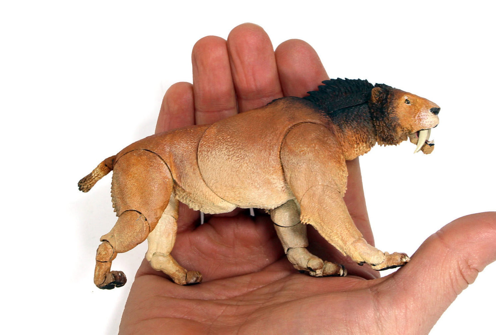 Beasts of the Mesozoic Smilodon populator- 1/18th scale action figure