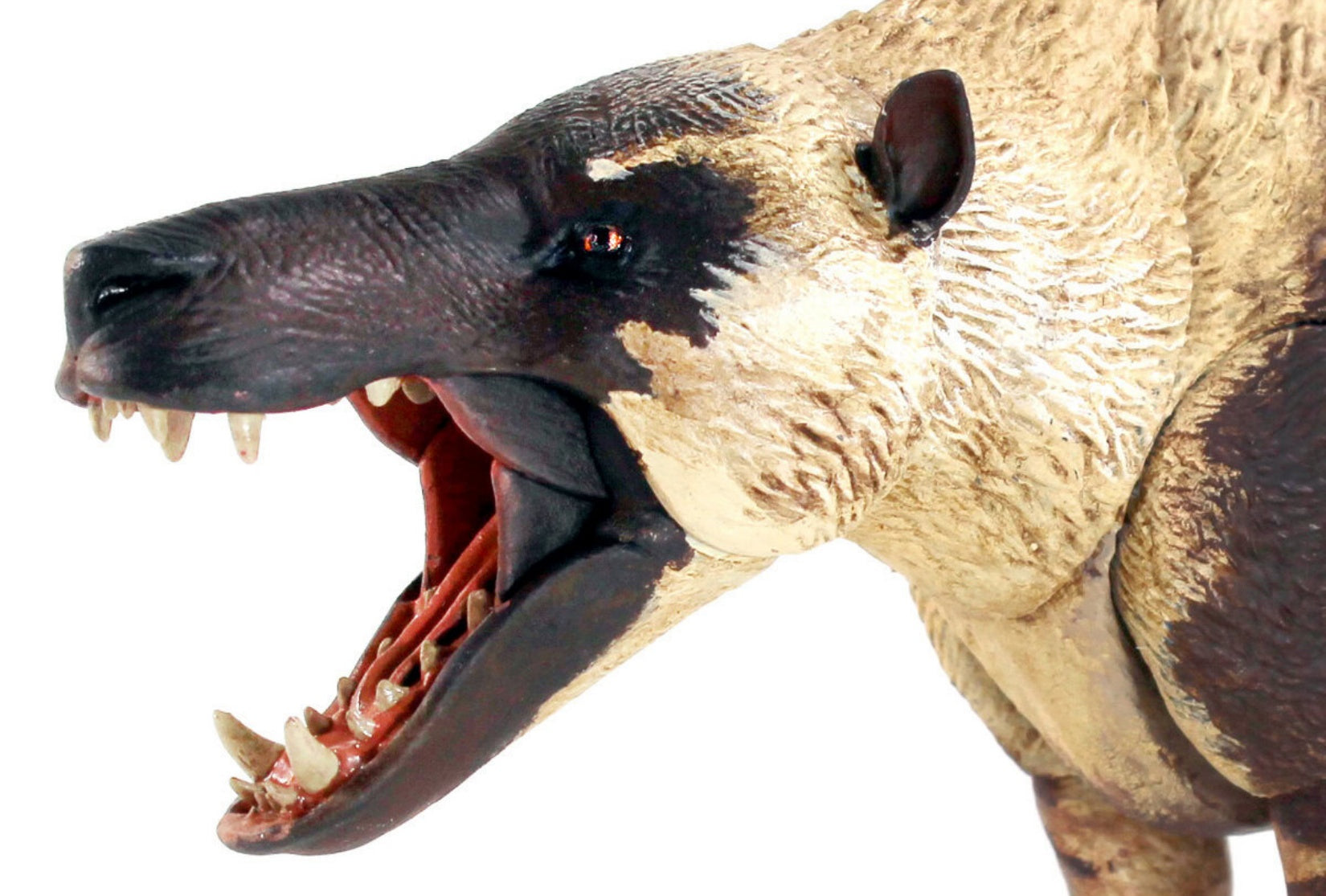 Beasts of the Mesozoic Andrewsarchus mongoliensis- 1/18th scale action figure