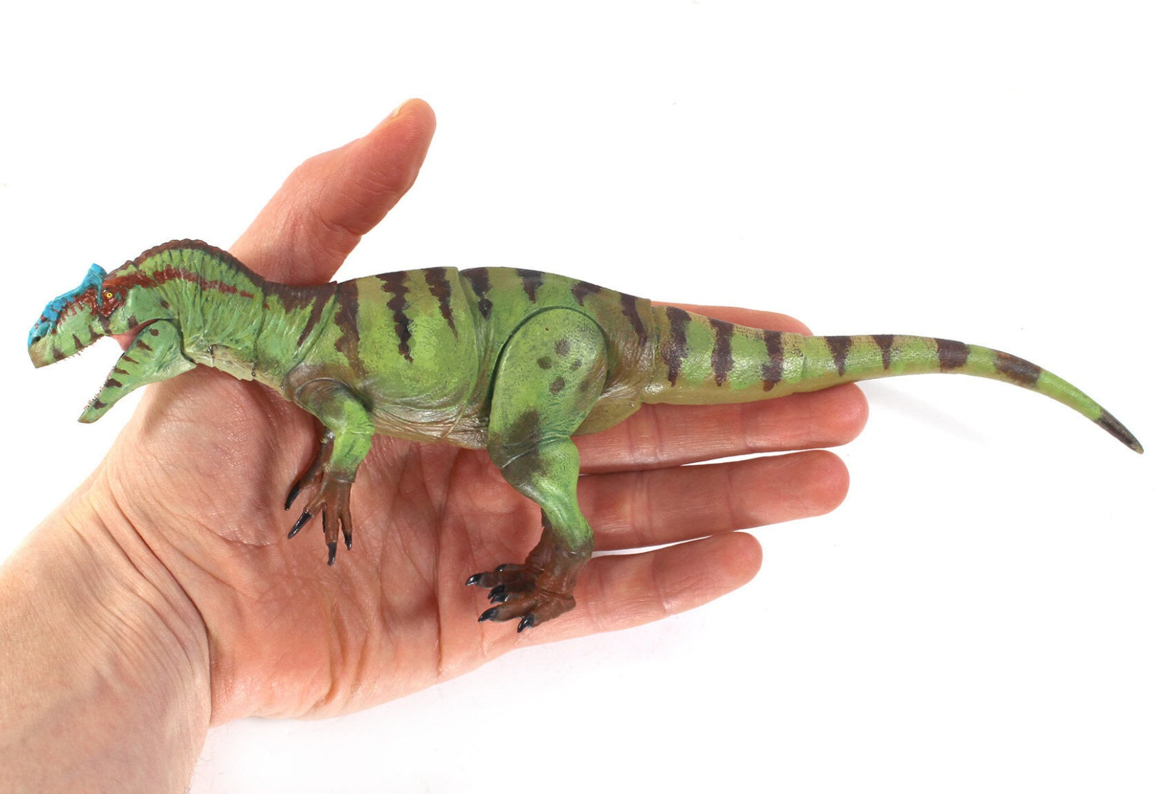 Beasts of the Mesozoic Allosaurus fragilis – 1/35th scale action figure