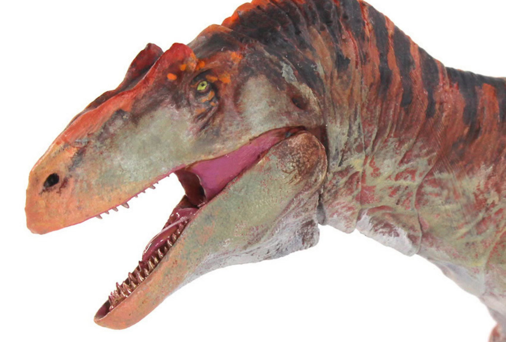 Beasts of the Mesozoic Allosaurus jimmadseni – 1/35th scale action figure