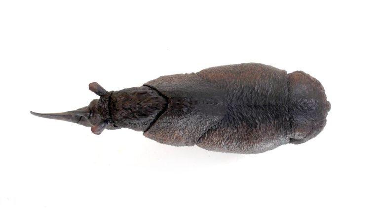 Beasts of the Mesozoic Woolly Rhino 1/18th scale action figure