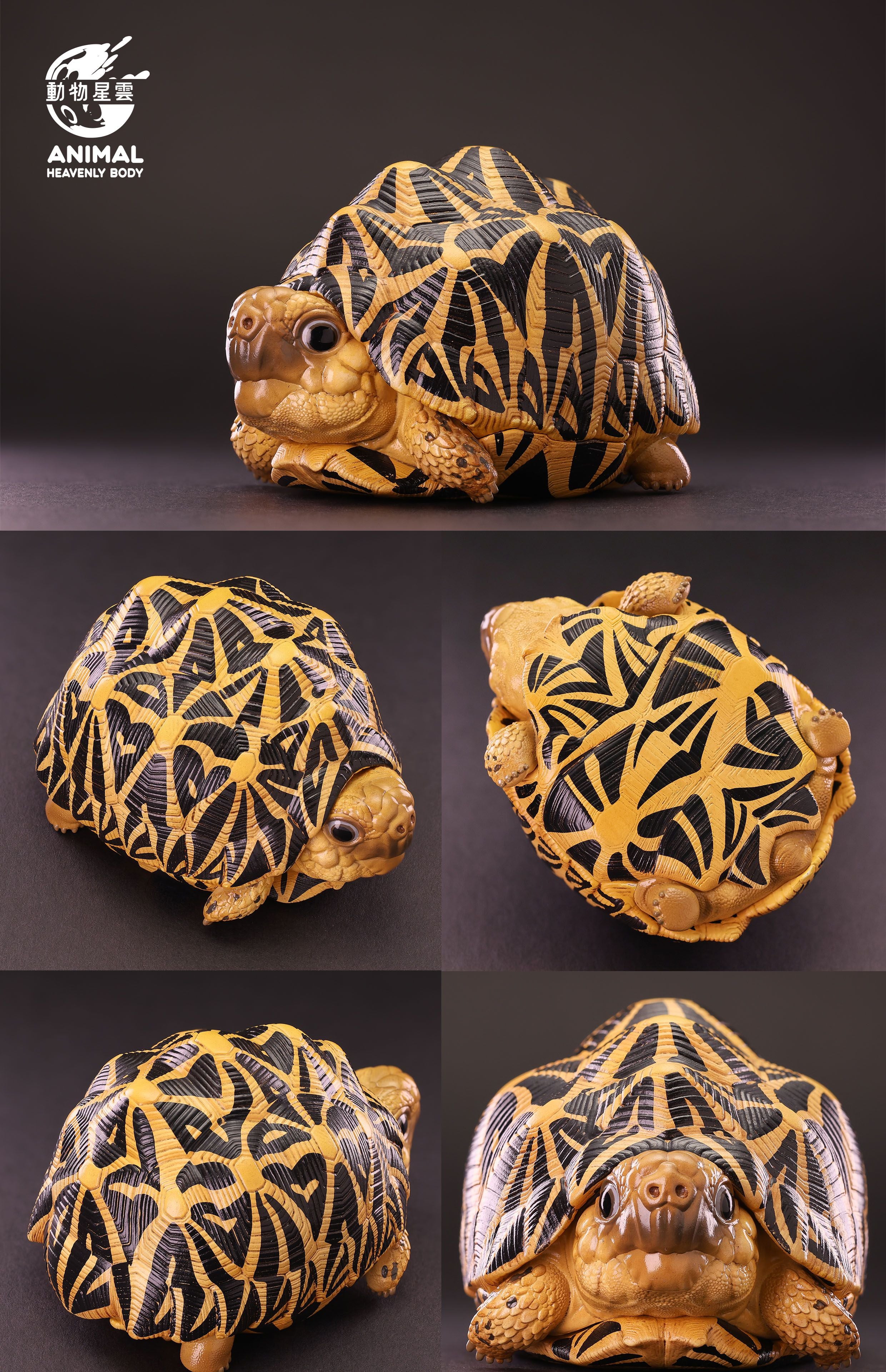 Animal Heavenly Body 22 Turtle Blind Box Model