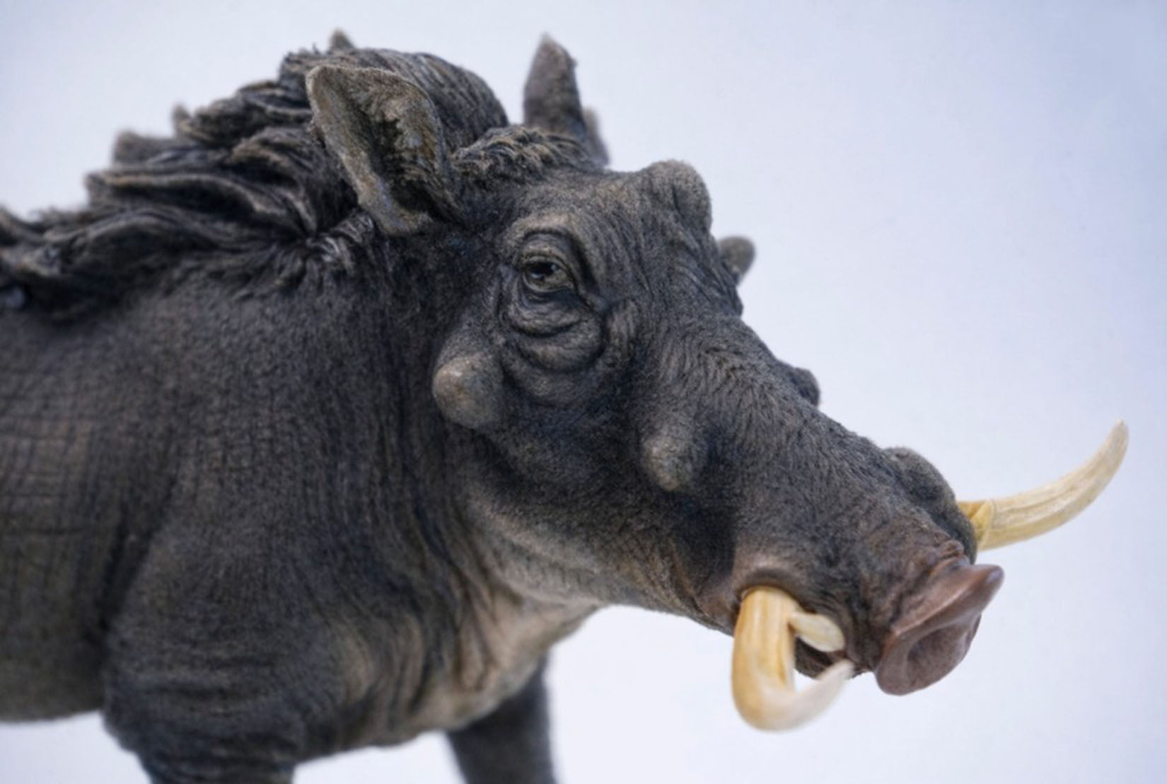 JXK Studio Warthog Animal Model