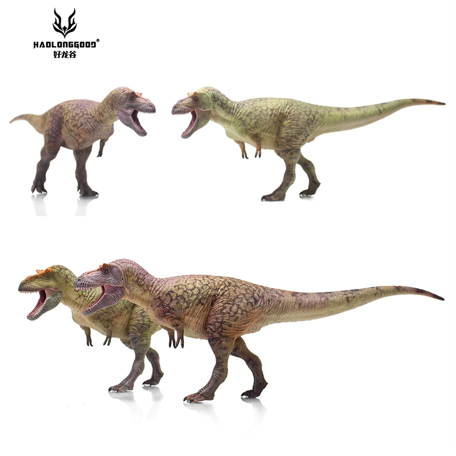 HAOLONGGOOD 1:35 Daspletosaurus Model