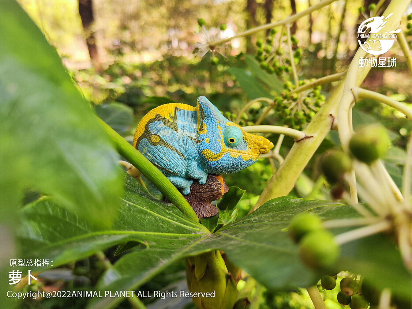 Animal Planet 15 Chamaeleonidae Blind Box Model
