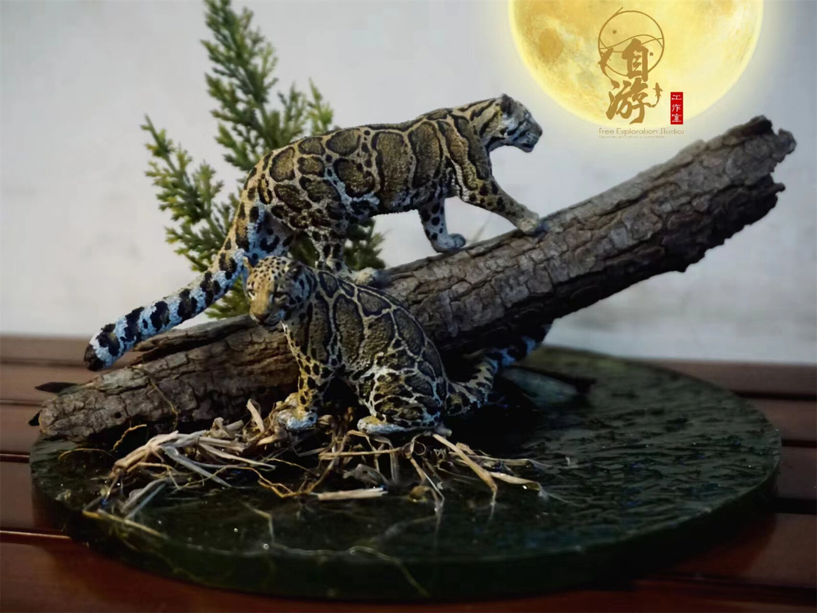Free Exploration Clouded Leopard Model