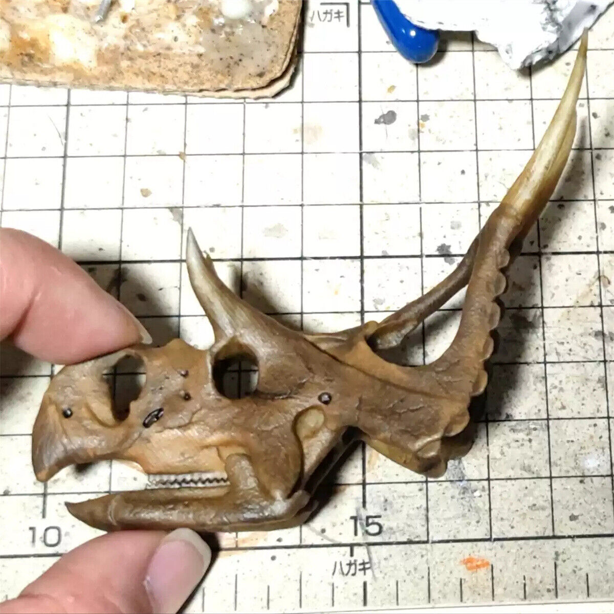 Small Diabloceratops Skull Model