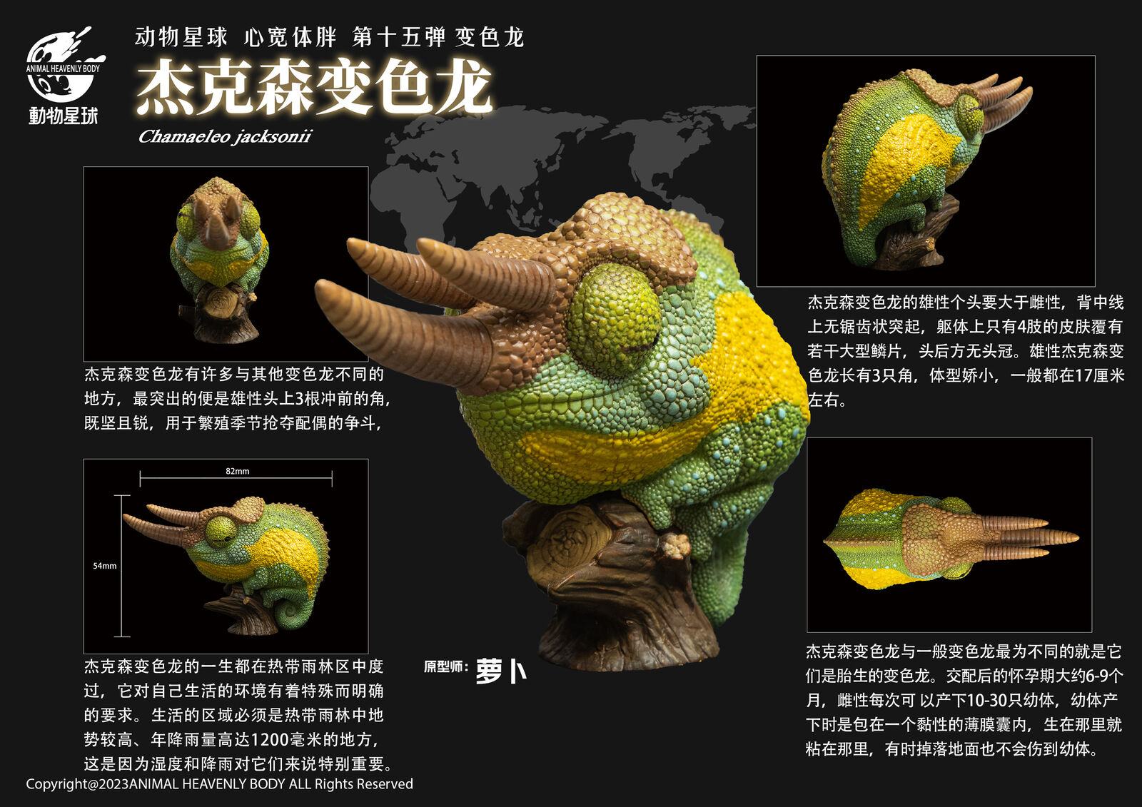 Animal Planet 15 Chamaeleonidae Blind Box Model