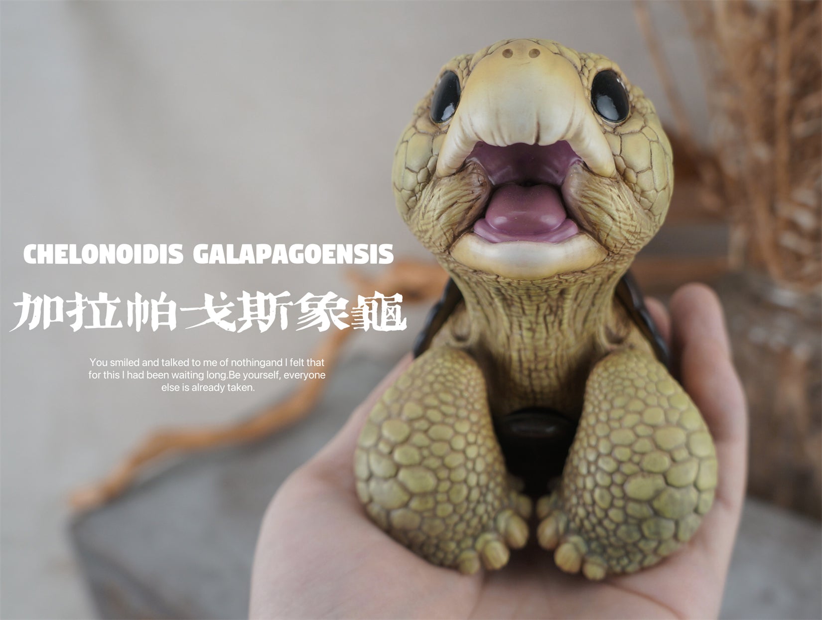 BOWUZHI Studio Geochelone Carbonaria & Chelonoidis Galapagoensis Model