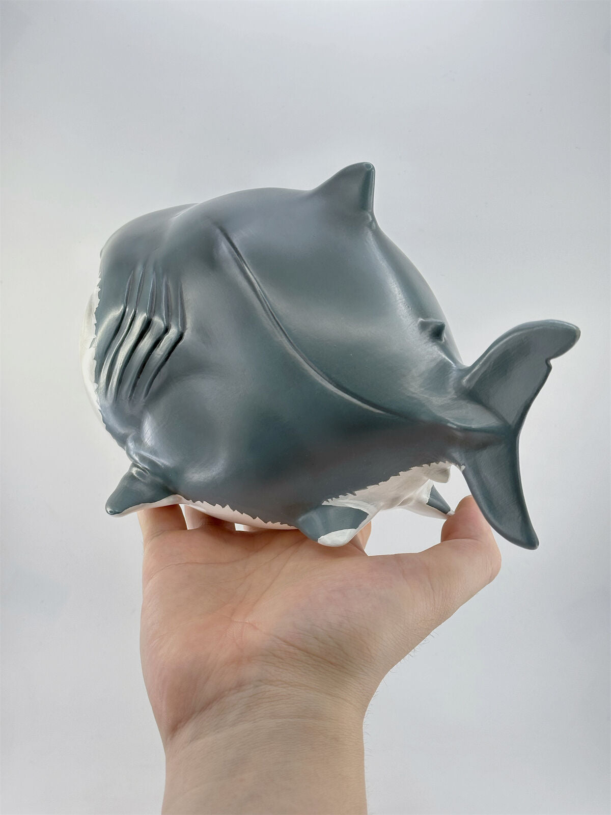 Shark Plus Limited Model