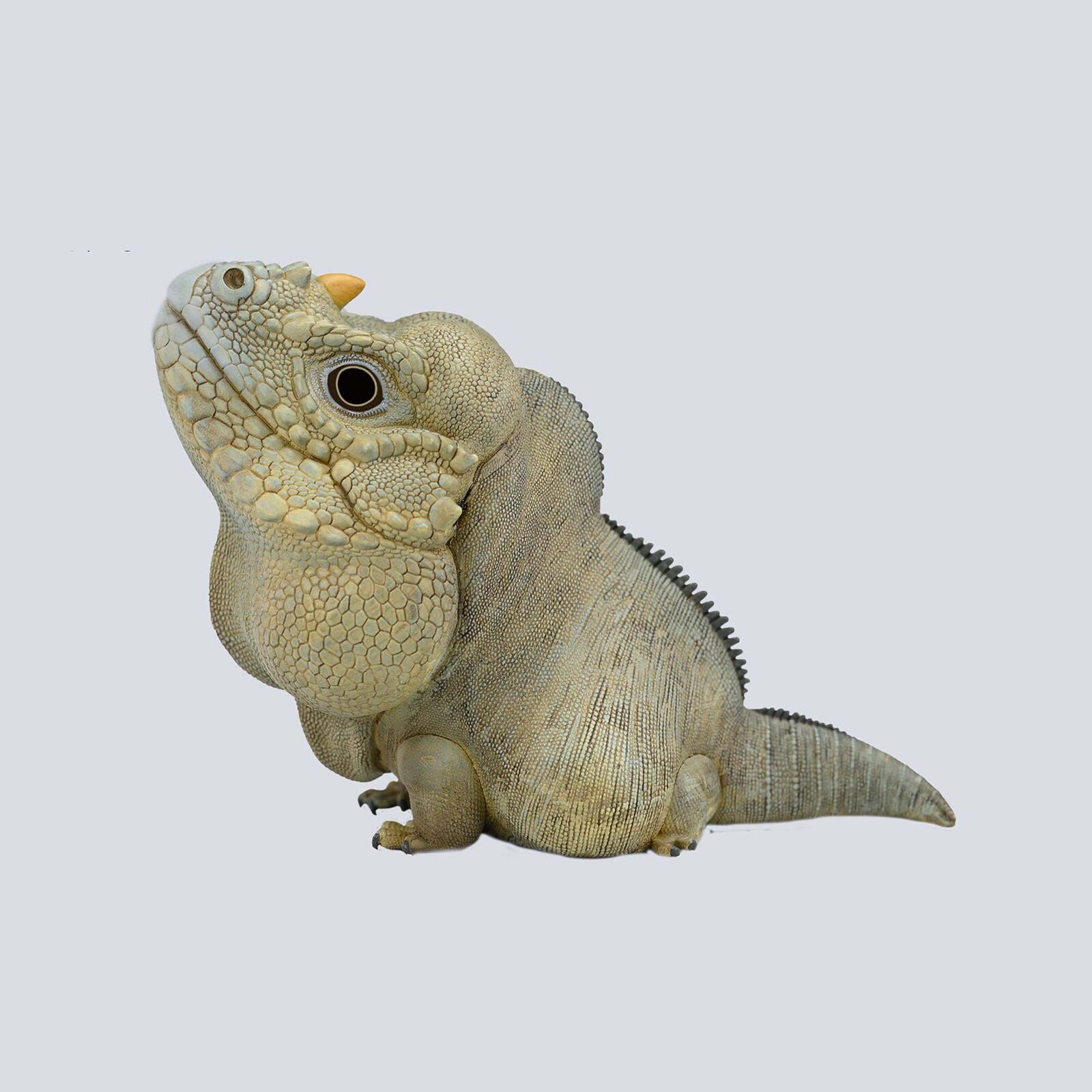 Animal Planet 16 Lizard Blind Box Model