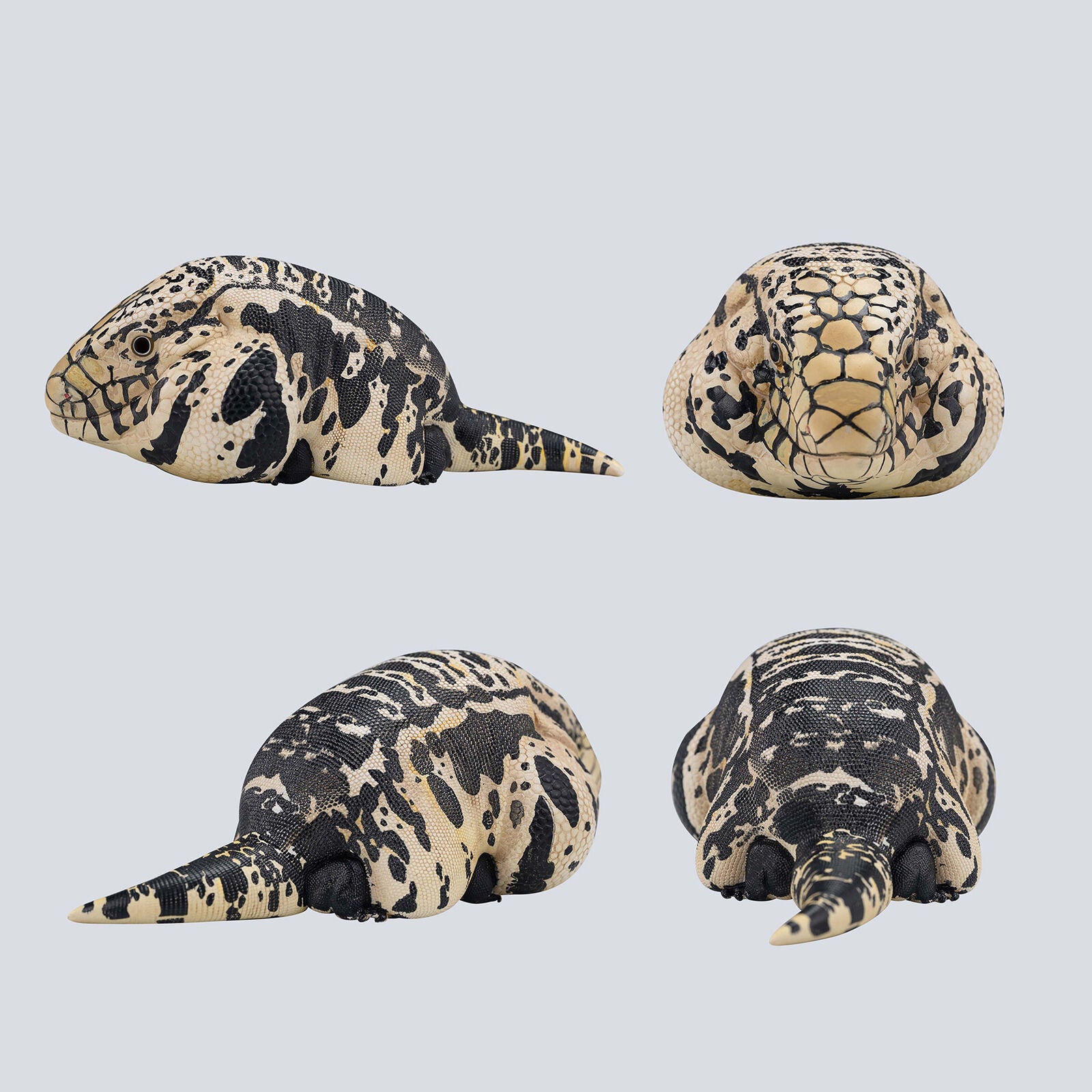 Animal Planet 16 Lizard Blind Box Model