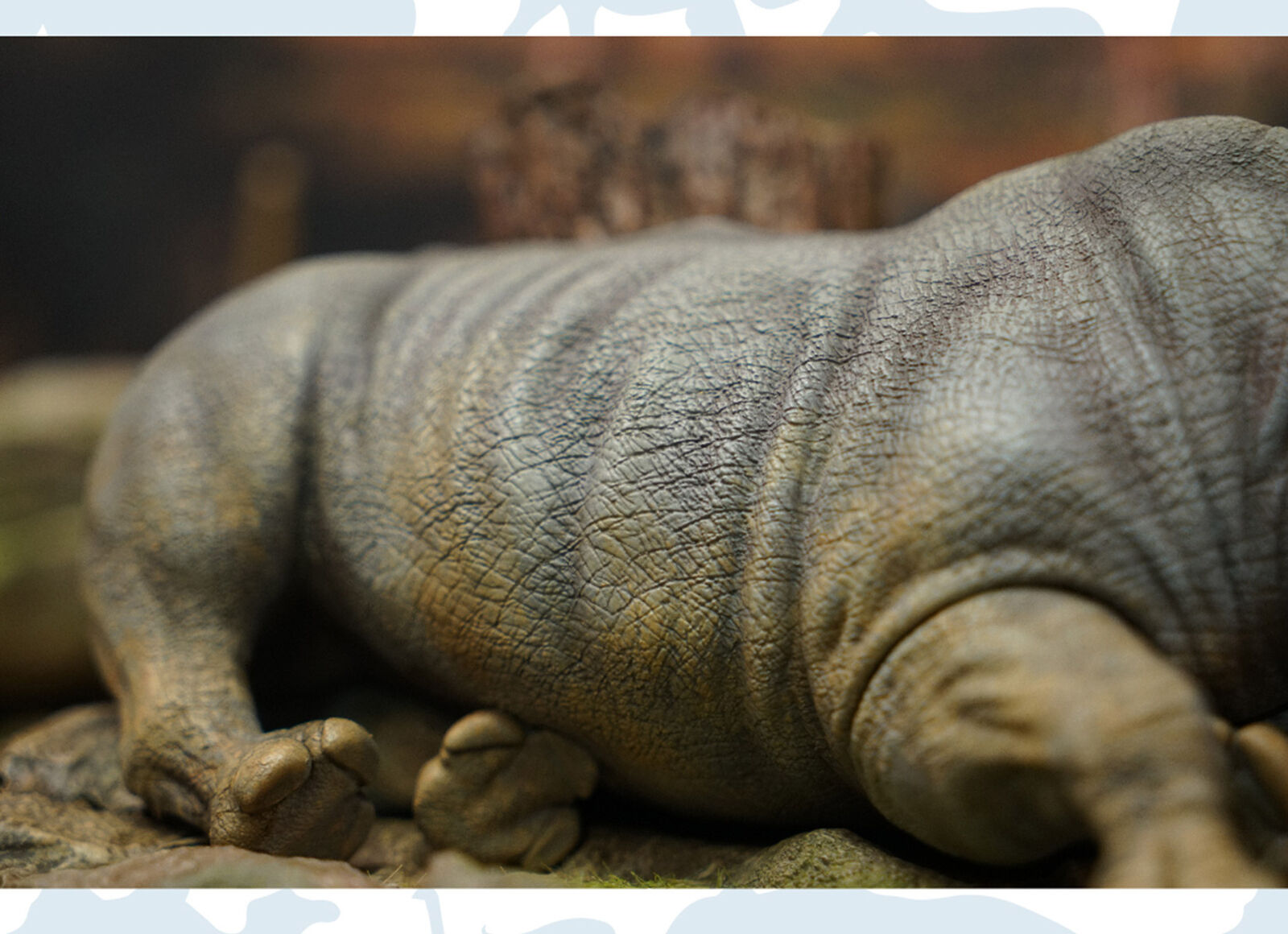 Animal Protection Act Studio Rhinoceros Horn Model