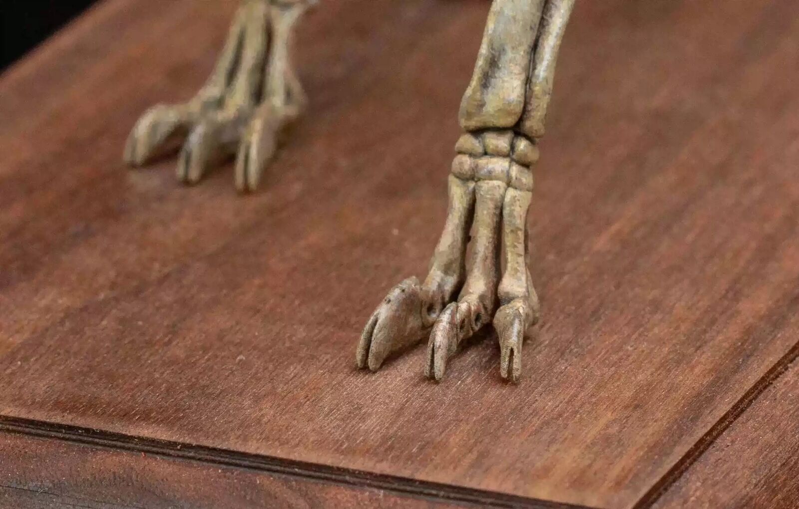 VWUVWU 1/20 Moropus Skeleton Model