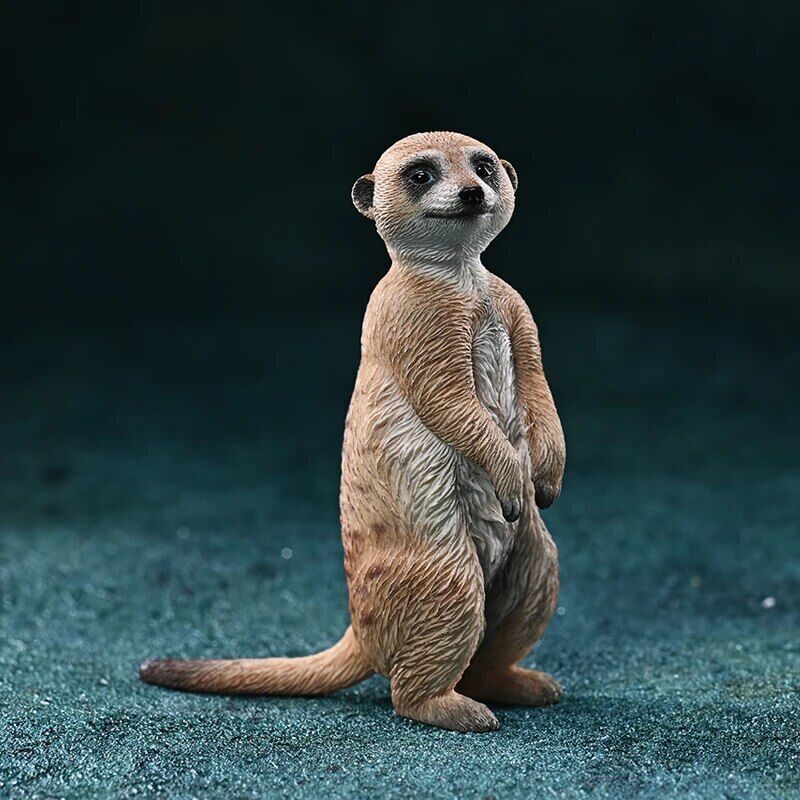 JXK 1/6 Meerkat Model