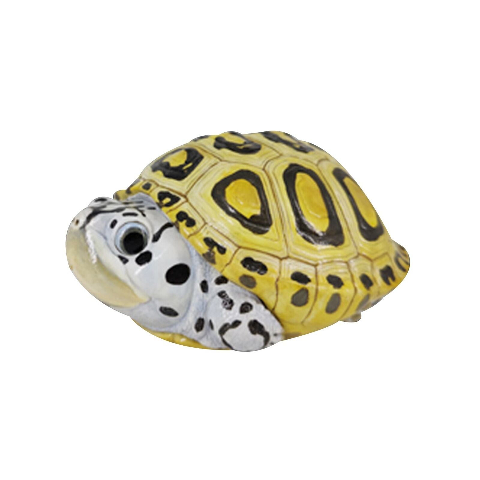 Animal Heavenly Body 19 Turtle Blind Box Model