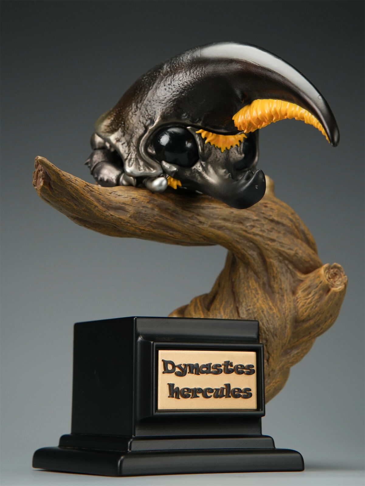 Dynastes Hercules Plus Model
