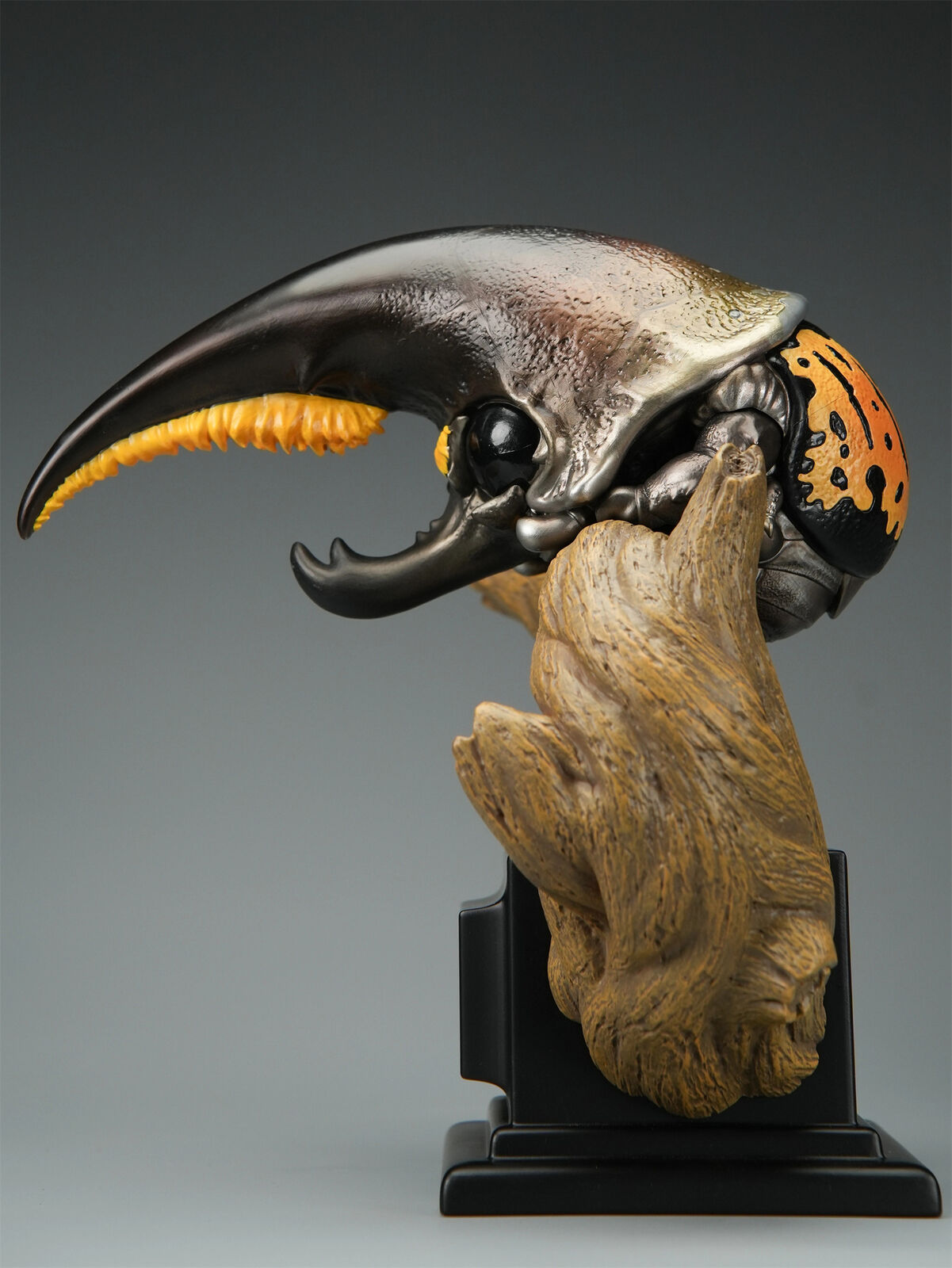 Dynastes Hercules Plus Model