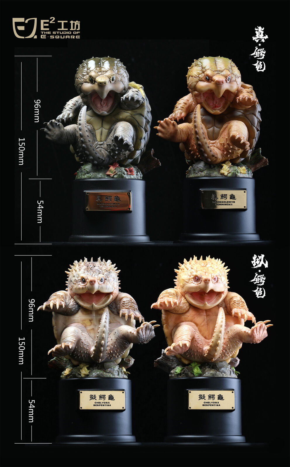 Snapping Turtle Model