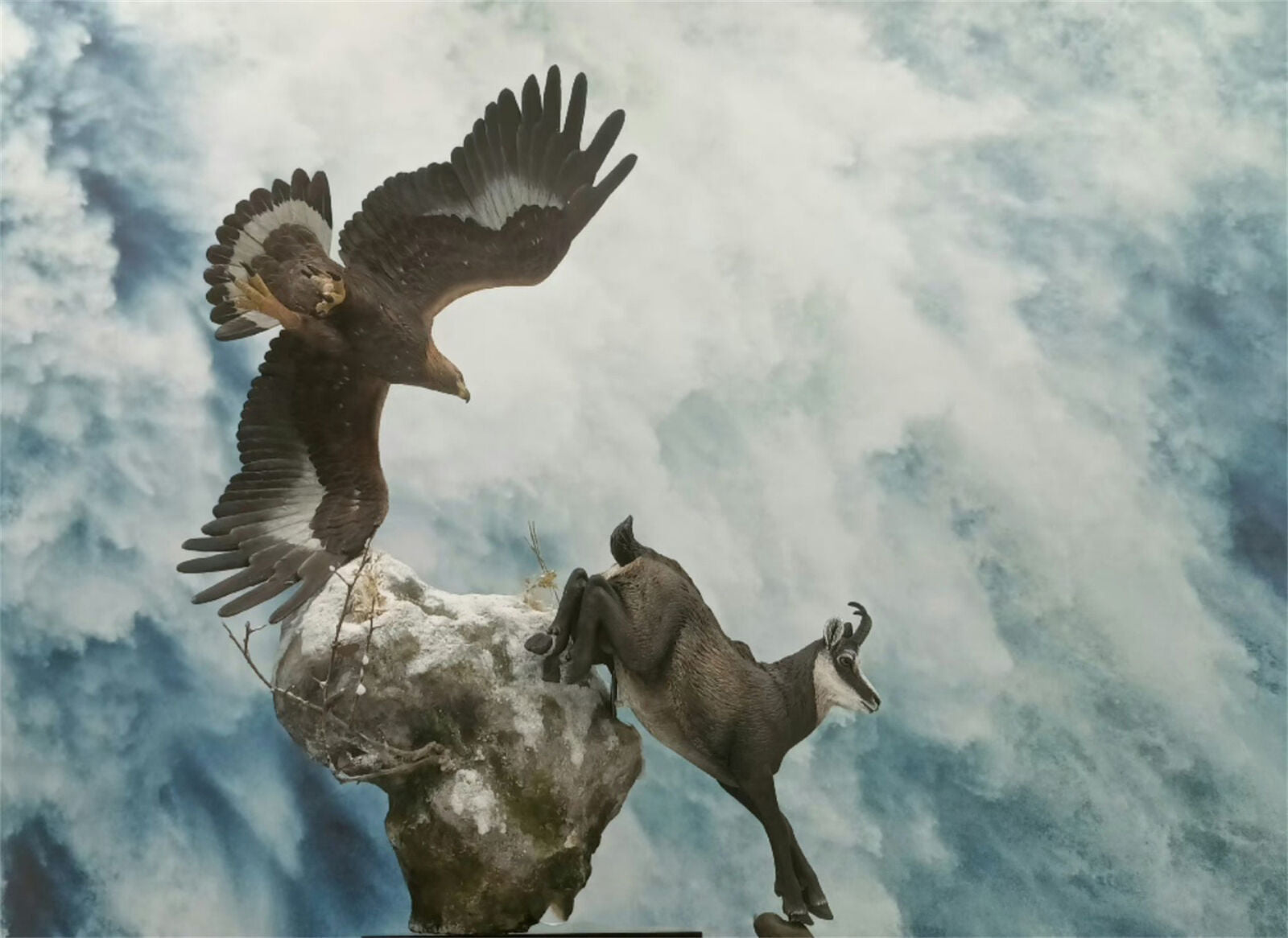 1/10 Golden Eagle VS Chamois Scene Model
