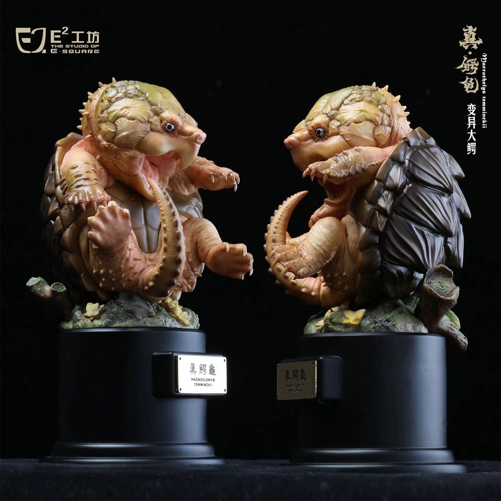 Snapping Turtle Model